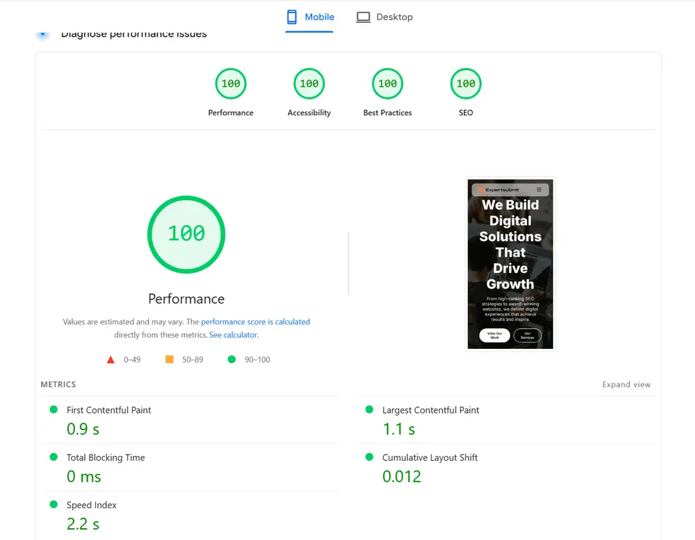 A screenshot showing perfect 100 Google PageSpeed scores